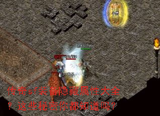 ����sfװ���������Դ�ȫ����Щ�����㶼֪����