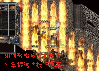 ������ɹ�������������������Щ������Ӯ