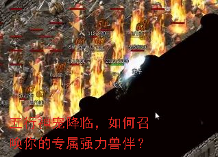 ������轵�٣�����ٻ����ר��ǿ���ް飿