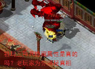 �����������������������������Ϊ���������