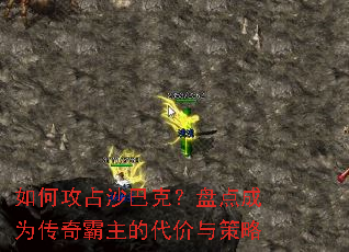 ��ι�ռɳ�Ϳˣ��̵��Ϊ��������Ĵ��������