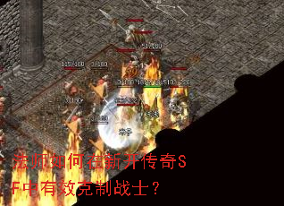 ��ʦ������¿�����SF����Ч����սʿ��