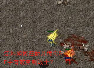 ��ʦ������¿�����SF����Ч����սʿ��