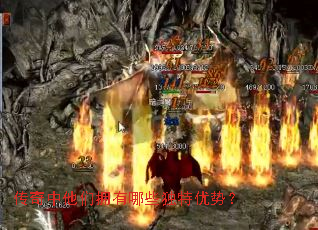 ����������ӵ����Щ�������ƣ�