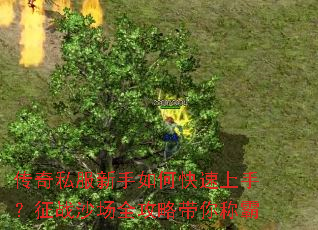 ����˽��������ο������֣���սɳ��ȫ���Դ���ư�