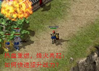 ��Ѫ��ȼ�����������ο�������ս����