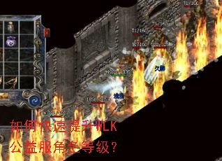 ��ο�������WLK�������ɫ�ȼ���