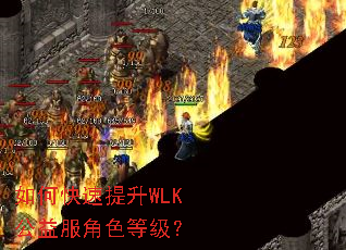 ��ο�������WLK�������ɫ�ȼ���