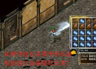 ��ο����ڱ�ѩ����˽�����԰����׬ȡԪ����