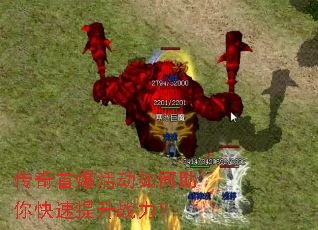 �����ױ����������������ս����