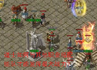 ��ʿ���������ְҵ������Ӳ��ܷ������ս����