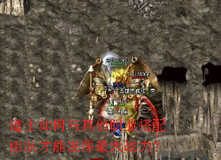 ��ʿ���������ְҵ������Ӳ��ܷ������ս����