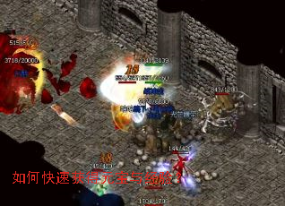 ��ο��ٻ��Ԫ���뾭�飿