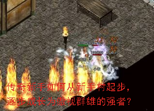 ����������δ����ִ��𲽣��𲽳ɳ�Ϊ����Ⱥ�۵�ǿ�ߣ�