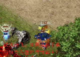 ս��׷ɣ���δ����ֲ����ɱ�Ϊʢ�����������