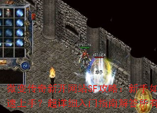 ΢�䴫���¿���վSF���ԣ�������ο������֣�����ϸ����ָ�Ͻ����������