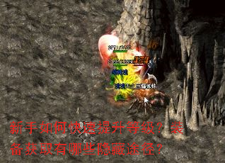 ������ο��������ȼ���װ����ȡ����Щ����;����