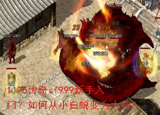 1.76����sf999�������ţ���δ�С���ɱ�Ϊ����