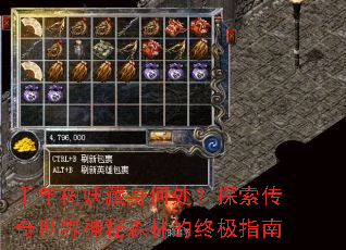 ǧ�����������δ���̽��������������ɭ�ֵ��ռ�ָ��