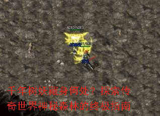 ǧ�����������δ���̽��������������ɭ�ֵ��ռ�ָ��