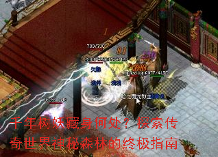 ǧ�����������δ���̽��������������ɭ�ֵ��ռ�ָ��