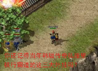 �㻹�ǵõ��꺫�洫��˽������аԵ��������������