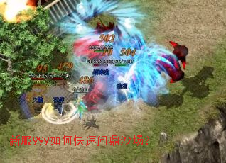 �·�999��ο����ʶ�ɳ����