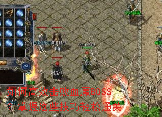 ��θ�Ч����ѪħBOSS��������Щ��������ͨ��