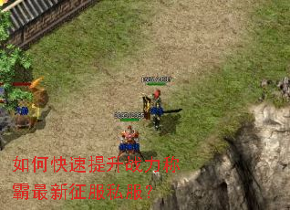 ��ο�������ս���ư���������˽����