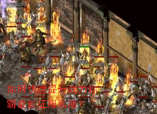 ��ο�������ս���ư���������˽����