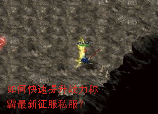 ��ο�������ս���ư���������˽����