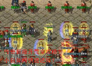 �����·�����ȫ���ԣ�С����ο��ٽ��ף�