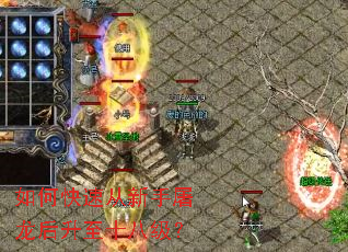 ��ο��ٴ���������������ʮ�˼���