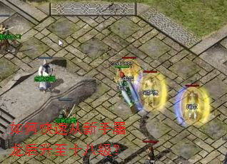 ��ο��ٴ���������������ʮ�˼���