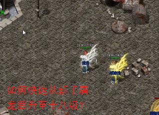 ��ο��ٴ���������������ʮ�˼���