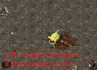 ��δӴ������ֿ��ٳɳ�Ϊ��ְҵ˽���еĶ����ʦ��