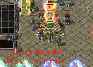 ����˽���������NPC��NPC��������������㣿