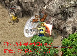 �����ľ���廯����Ů�涾���ƽ�ʴ��֮�䣿