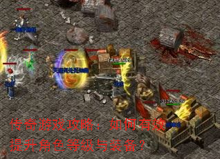 ������Ϸ���ԣ������Ч������ɫ�ȼ���װ����