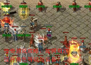 ������Ϸ���ԣ������Ч������ɫ�ȼ���װ����