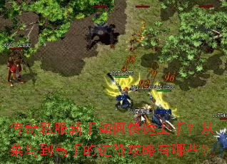 ����˽��������ο������֣��Ӳ��񵽸��ֵĽ��׹�������Щ��