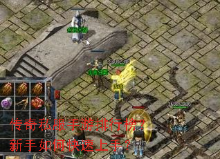 ����˽���������а�������ο������֣�