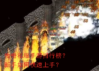 ����˽���������а�������ο������֣�