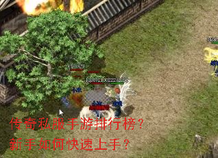 ����˽���������а�������ο������֣�