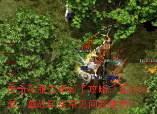 ����˽����׿���ֹ��ԣ���սɳ�ǣ�Ѫս���׳����ʴ𼯽���