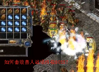 ��λ�������ս���ռ�BOSS��