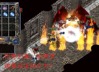 �����������ο��ټ�������֮����