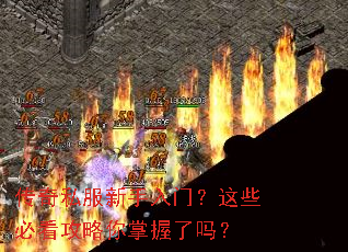 ����˽���������ţ���Щ�ؿ���������������