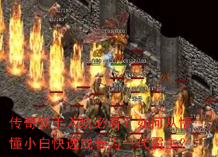 ����������ӱؿ�����δ��¶�С�׿��ٳɳ�Ϊһ��������