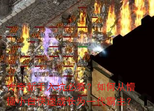 ����������ӱؿ�����δ��¶�С�׿��ٳɳ�Ϊһ��������